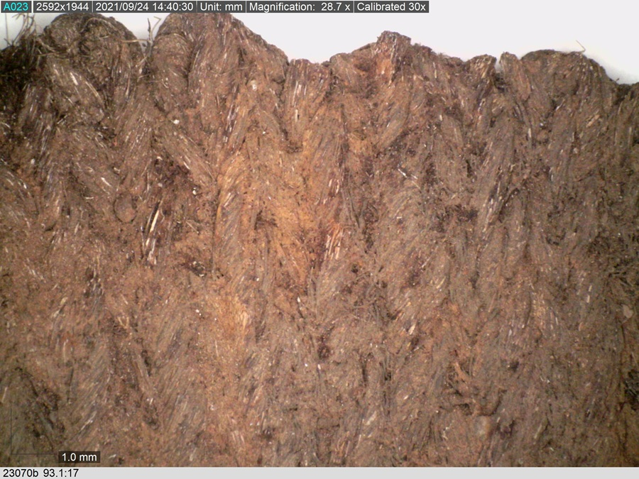 Fragments of the knitted stocking found inside a pair of shoes, Fnr 23070 (image: Vasamuseet, CC BY)